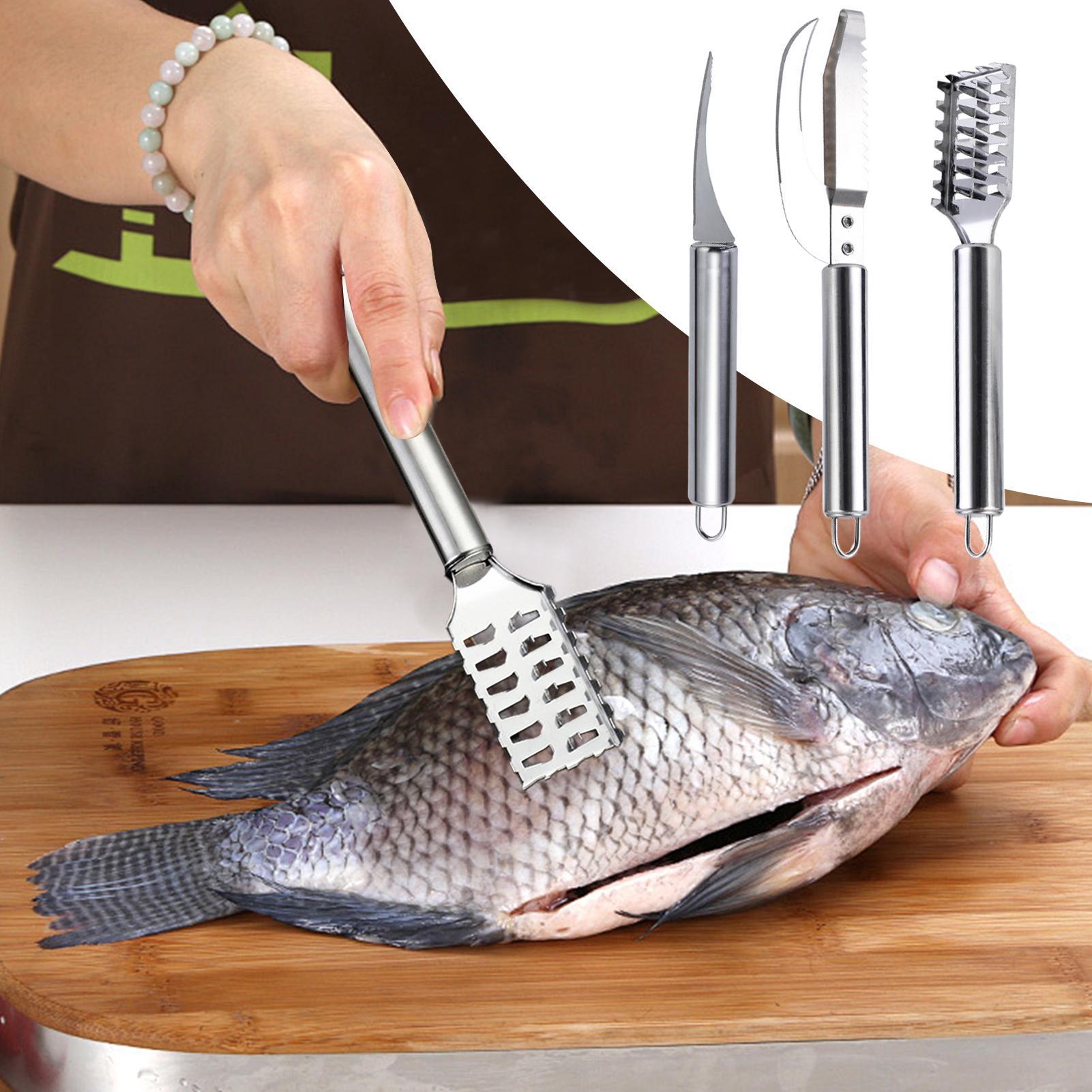 Removedor de Escamas de Peixe, - Kitchen Gadgets For Seniors avaliação e preço