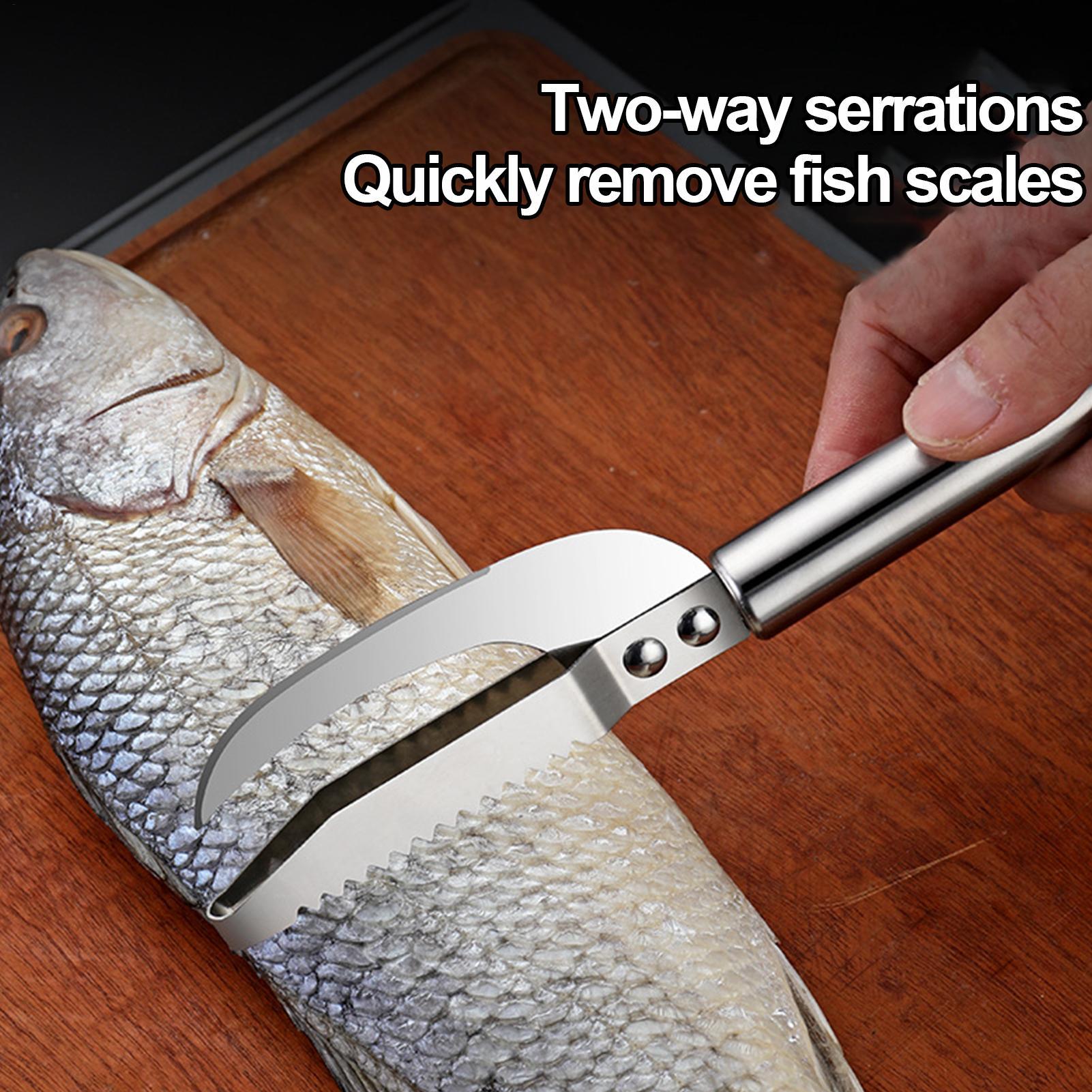 Removedor de Escamas de Peixe, - Kitchen Gadgets For Seniors avaliação e preço
